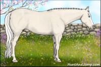 Horse Color:Cremello Splash  Brindle