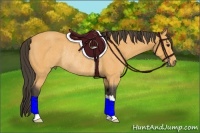 Horse Color:Buckskin Rabicano