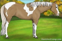 Horse Color:Silver Smoky Blue Roan Splash Tobiano 