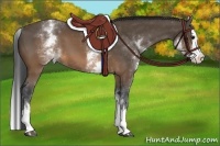 Horse Color:White Spotted Brown Splash 