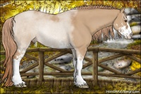 Horse Color:Red Dun Roan Sabino 