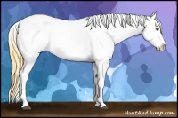 Horse Color:Buckskin Dun Varnish 