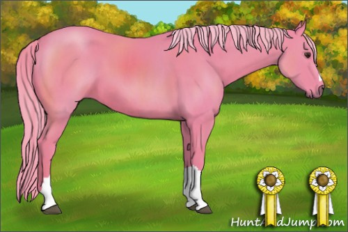 Horse Color: Watercolor Chestnut 