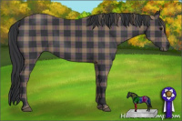 Horse Color:Plaid  Black 