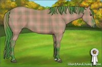 Horse Color:Watercolor Plaid  Grullo 