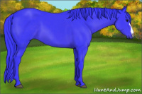 Horse Color:Watercolor Brown 