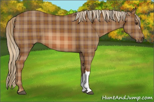 Horse Color: Plaid  Liver Chestnut 