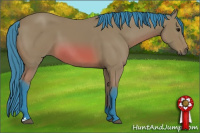 Horse Color:Watercolor Bay 