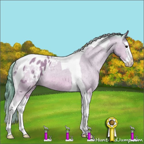 Horse Color:Watercolor Bay Splash Tobiano Blanket Rabicano 