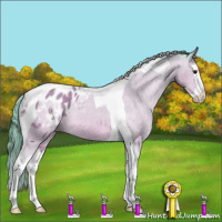 Horse Color:Watercolor Bay Splash Tobiano Appaloosa Rabicano 