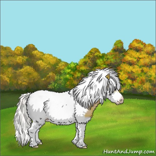 Horse Color:Plaid  Silver Classic Cream Champagne Splash Tobiano Frame Rabicano 