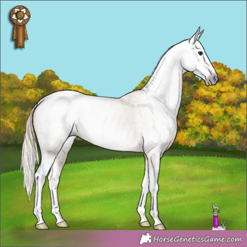Horse Color:Gray Plaid  Red Dun Roan Splash Frame Varnish Rabicano 
