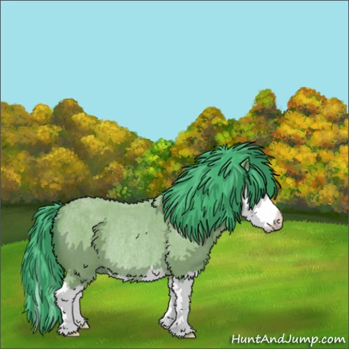 Horse Color:Watercolor Bay Roan Splash Rabicano 