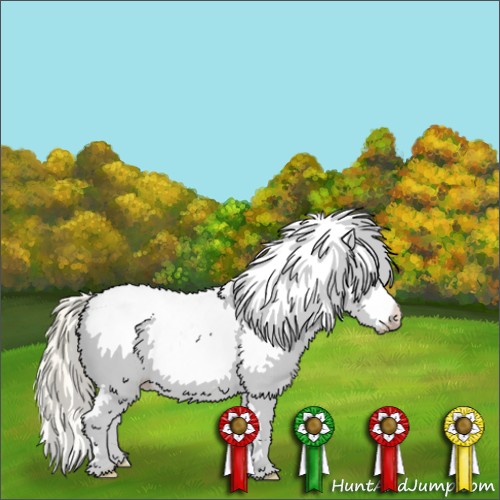 Horse Color:Watercolor Gold Cream Champagne Roan Appaloosa 