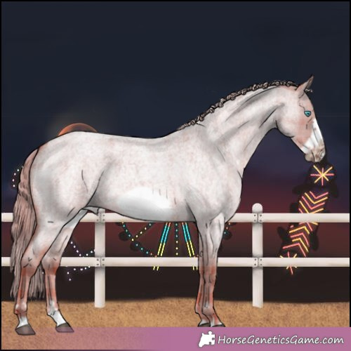 Horse Color: Watercolor Plaid  Red Dun Roan Frame 