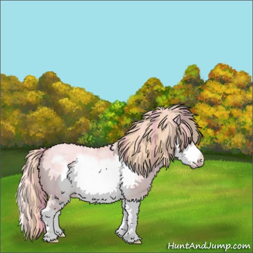 Horse Color:Watercolor Plaid  Gold Champagne Roan Dun Splash Frame Rabicano 