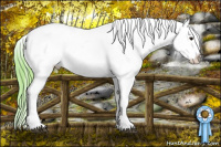 Horse Color:Watercolor Bay Dun Appaloosa 