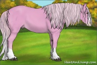 Horse Color:Watercolor Palomino Sabino Splash 