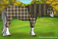 Horse Color:Plaid  Smoky Black Splash 