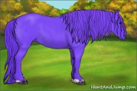 Horse Color:Watercolor Smoky Blue Roan 