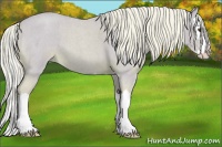 Horse Color:Watercolor Palomino Roan Splash 