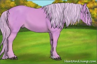 Horse Color:Watercolor Palomino 