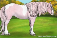 Horse Color:Watercolor Cremello Roan Splash Tobiano 