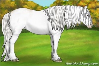 Horse Color:Plaid  White Spotted Silver Smoky Blue Roan Splash 
