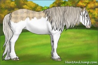 Horse Color:Plaid  Silver Smoky Blue Roan Splash 
