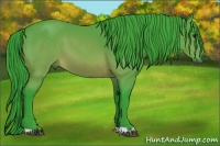 Horse Color:Watercolor Buckskin 