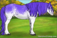 Horse Color:Watercolor White Spotted Smoky Blue Roan 