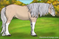 Horse Color:Watercolor Silver Buckskin Dun Splash 