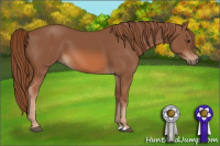 Horse Color:Liver Chestnut 