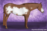 Horse Color:Chestnut Frame 
