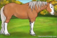Horse Color:Silver Bay Splash 