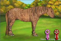 Horse Color:White Spotted Bay  Brindle