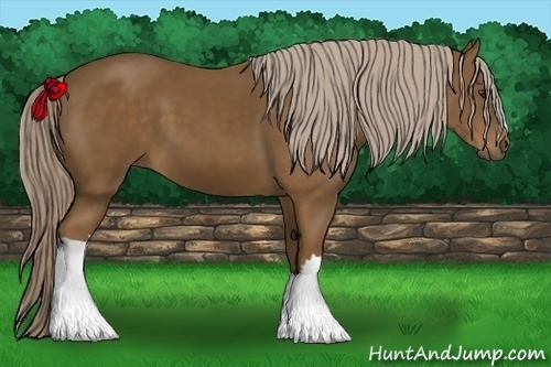 Horse Color: Chocolate Palomino 