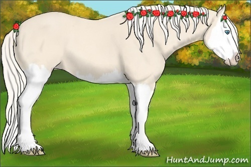 Horse Color: Cremello Splash 