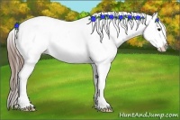 Horse Color:White Spotted Grullo Splash Blanket 