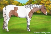 Horse Color:Silver Bay Ice Tobiano
