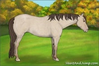 Horse Color:Classic Champagne Roan Dun 