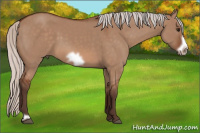Horse Color:Silver Bay Dun Frame