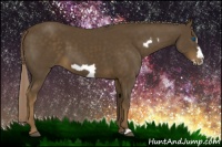 Horse Color:Chocolate Palomino Frame 