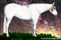 Horse Color:Chocolate Palomino Sabino Frame 