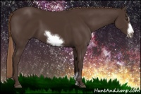 Horse Color:Liver Chestnut Sabino Frame 
