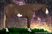 Horse Color:Liver Chestnut Frame 