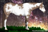 Horse Color:Liver Red Dun Frame 