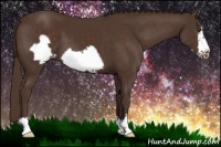 Horse Color:Liver Chestnut Frame 