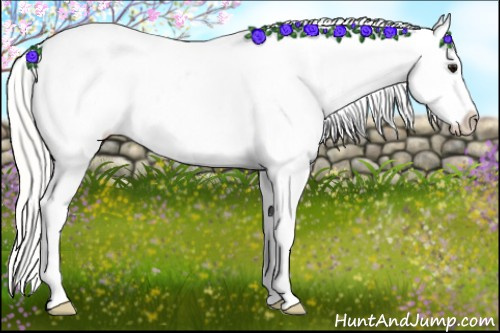 Horse Color: Silver Smoky Grullo Tobiano Near Leopard Rabicano 