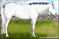 Horse Color:Silver Smoky Grullo Tobiano Appaloosa Rabicano